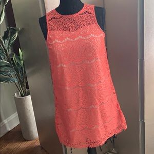 Bleuh Ciel Lace Dress